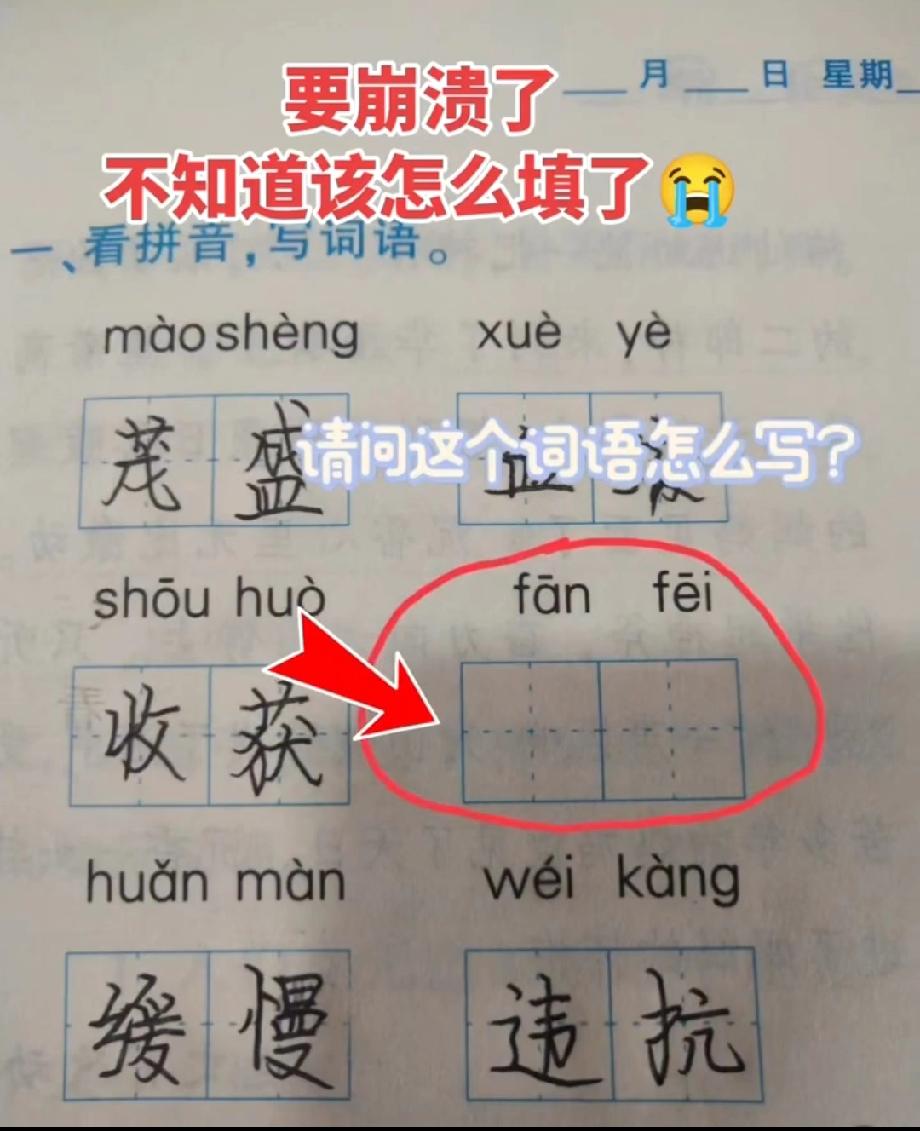 小学生这道题把家长难哭了！‘fānfēi’到底咋写？我翻了字典都没对，评论区学