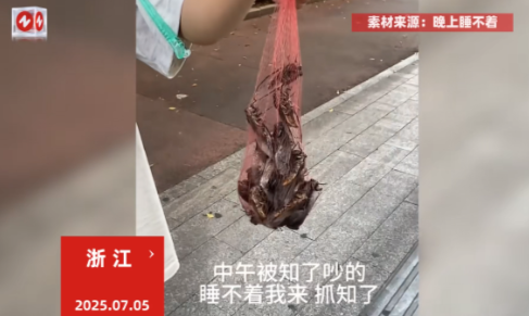 “简直是捡到钱！”7月5日，浙江，一男子午睡时被树上的知了猴吵得没法睡，一气之下