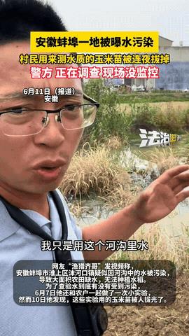 “没人管了吗？”安徽蚌埠某地被曝水污染，一博主带领老乡做了个稻苗对比实验，拿河水