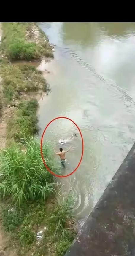 重庆开州区临江镇发生一起悲剧。一位父亲带着儿子和小女儿去钓鱼，小女儿意外失足落水