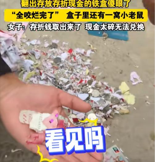 10月16日报道，安徽亳州，一女子翻出存放存折和现金的铁盒子，竟然发现纸钞和存折