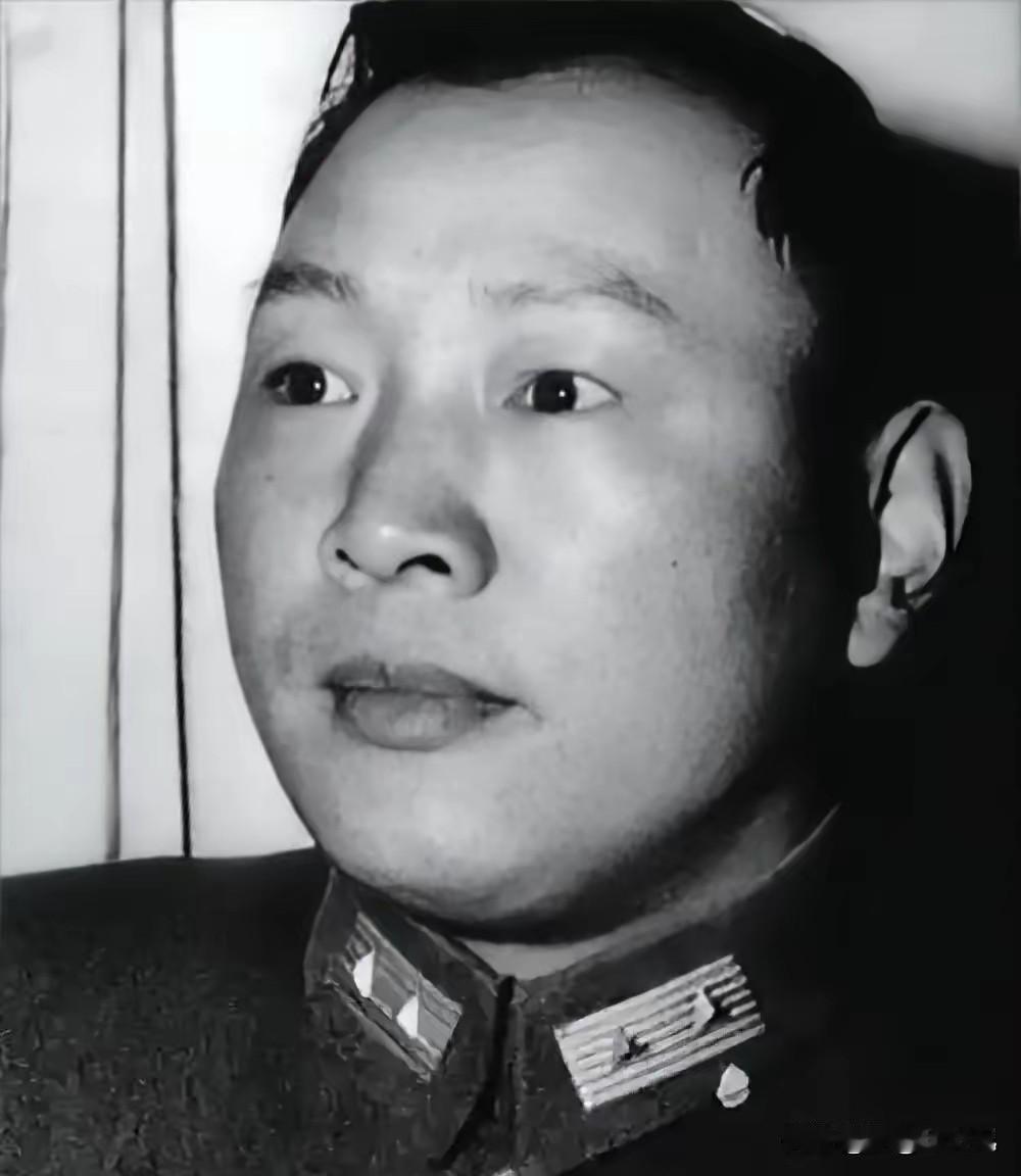 1959年战犯特赦，落魄老将无人理睬，开国大将一声“宋大头”，瞬间让人破防
