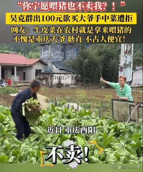 近日，吴克群在重庆酉阳偶遇一位大爷，拿出100元想买其手中的牛皮菜，却被大爷果断