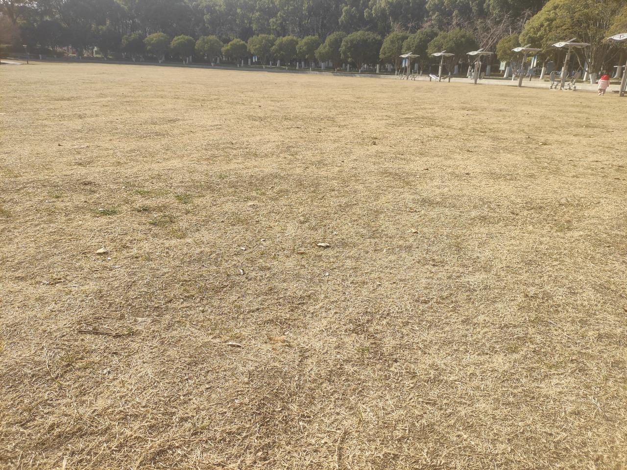 紫微斗数看你适合单干还是合伙？以两个角度来看，一个是宫位，第二个是四化。