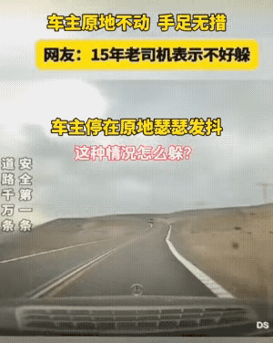公路上，前面一辆货车像喝醉了酒似的，风刺电掣般向车主驶来，车主吓得手足无措，六神