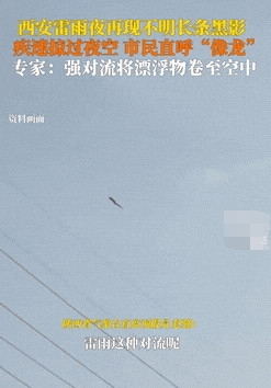 网友说：这是龙！专家说：这是黑色塑料袋！你们自己看看这是啥！西安市民拍到雷雨交