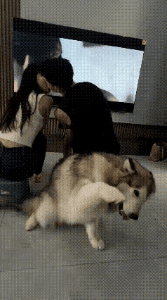 有谁懂单身狗蛋蛋的忧伤[捂脸哭][捂脸哭][捂脸哭]