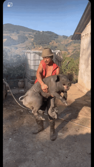 弄不了你了？宁可脱裤子都得制服你！