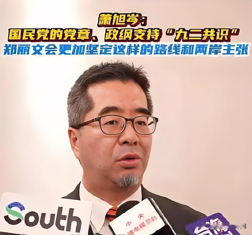 国民党准副主席萧旭岑这次访问大陆,全程仅2次提及“九二共识”,与大陆代表7次提及