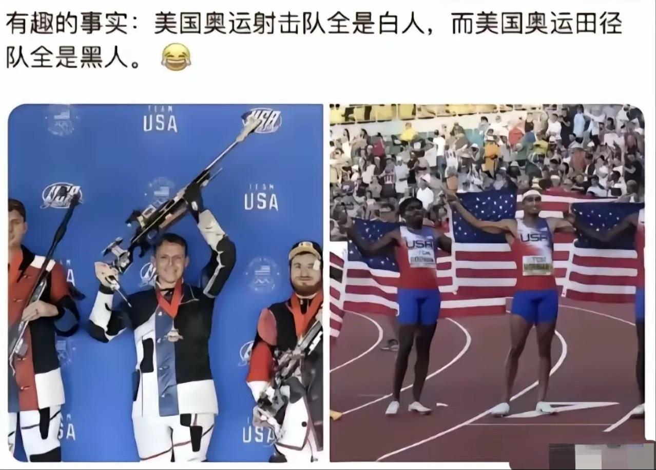 有趣的事实