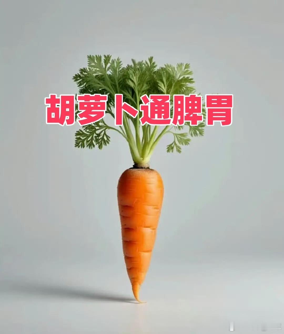 食疗方子看起来非常家常、暖心，用常见的食材组合来照顾脾胃，确实是一种很棒的养生思