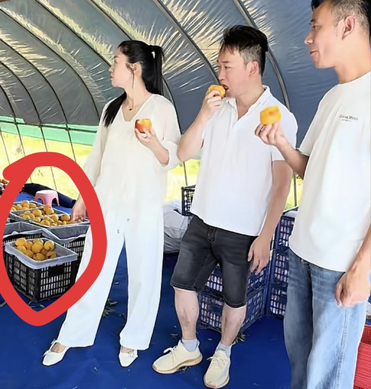 厉怀远这是为带货做铺垫吗？网友给厉怀远和林丽的2个昵称不切实际今天1位博主