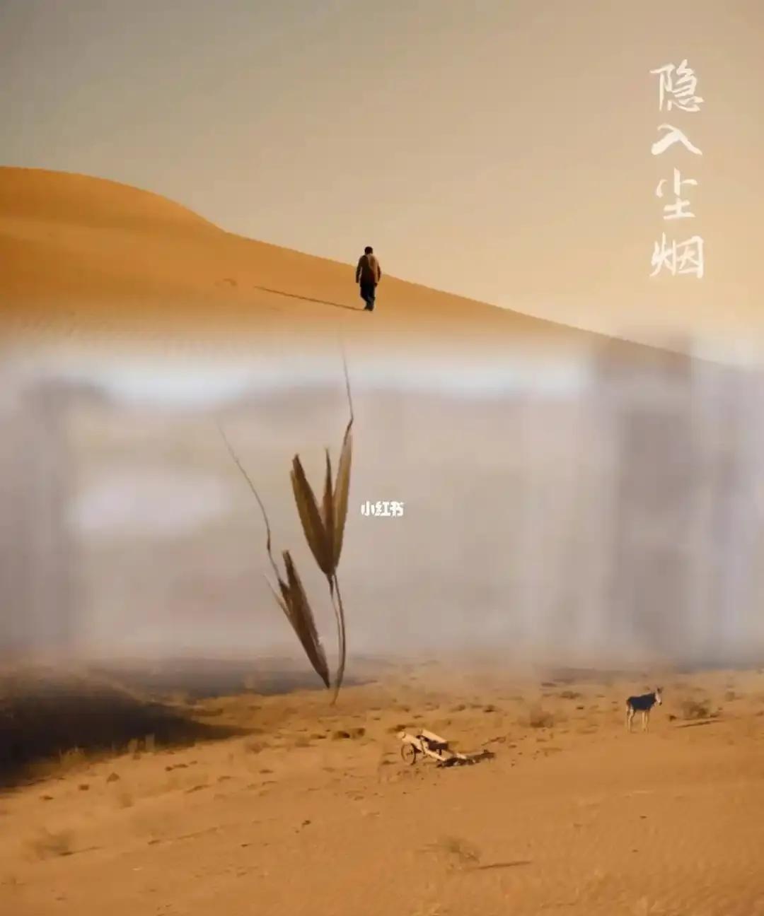 性学专家李银河说：“我们活着到底是为了什么？其实什么都不为，我们和一只蚂蚁，