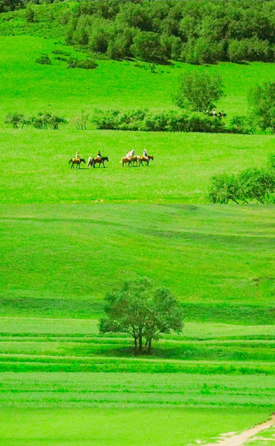 男女之间很多人根本就接不住真心。。真心就像内裤，大家都穿在身上，谁也不知道对方
