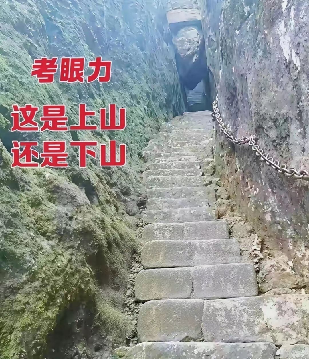 考眼力
