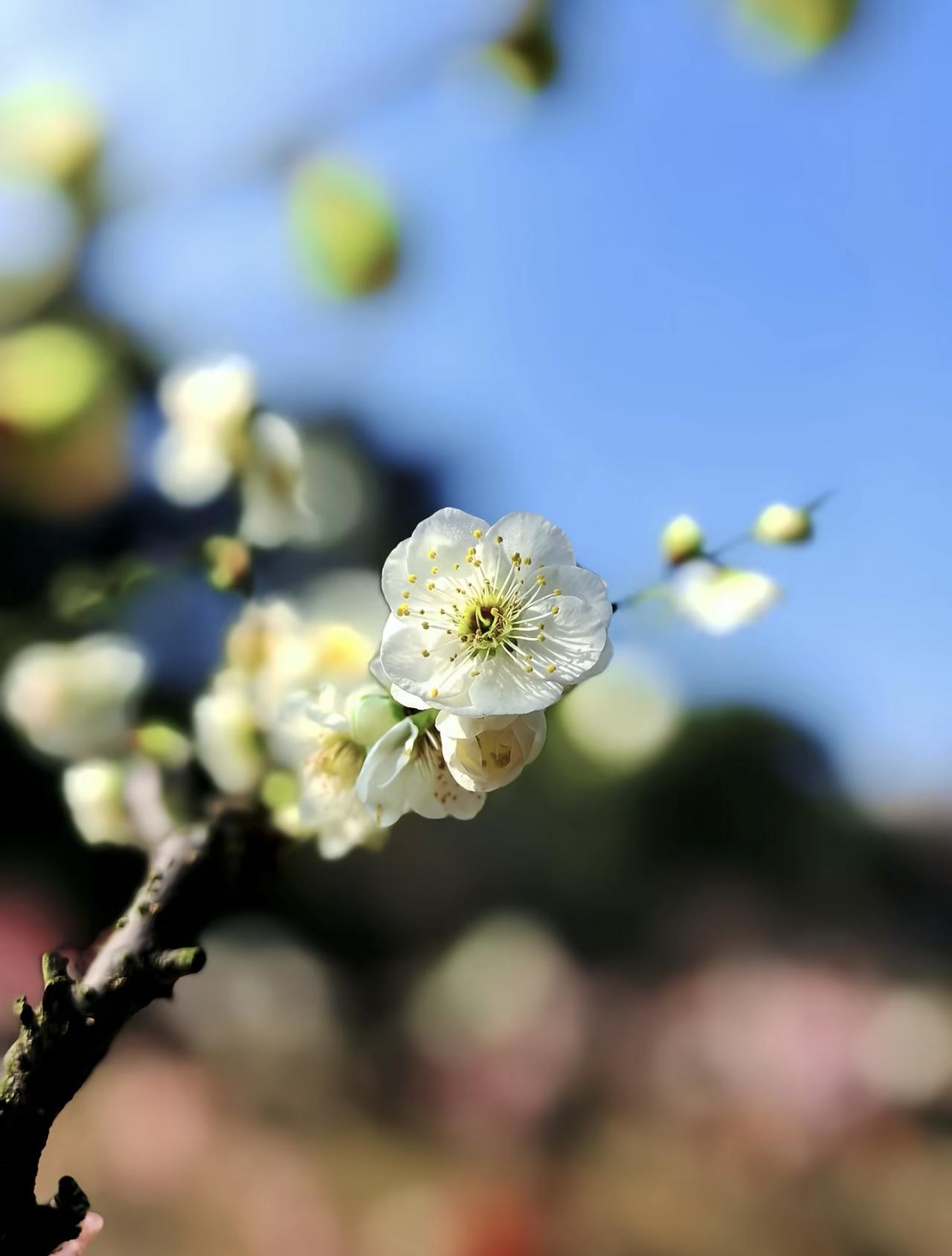 心态，决定了我们一生的心情与状态。心若乱了，生活便处处是烦恼；心若安稳，日子处处