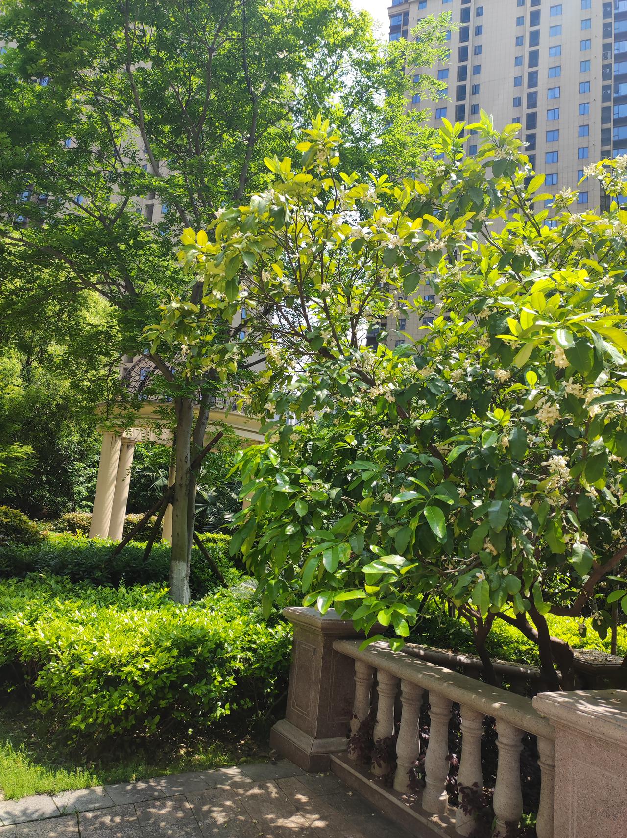 今天是我上班的第三天！又多了几个朋友。我来南昌十多年了，常年窝在家里，不接触