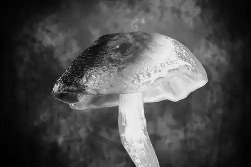 化疗诱导的外周神经病变，是铂类抗肿瘤药物非常普遍的副作用。接受这类药物治疗的患者