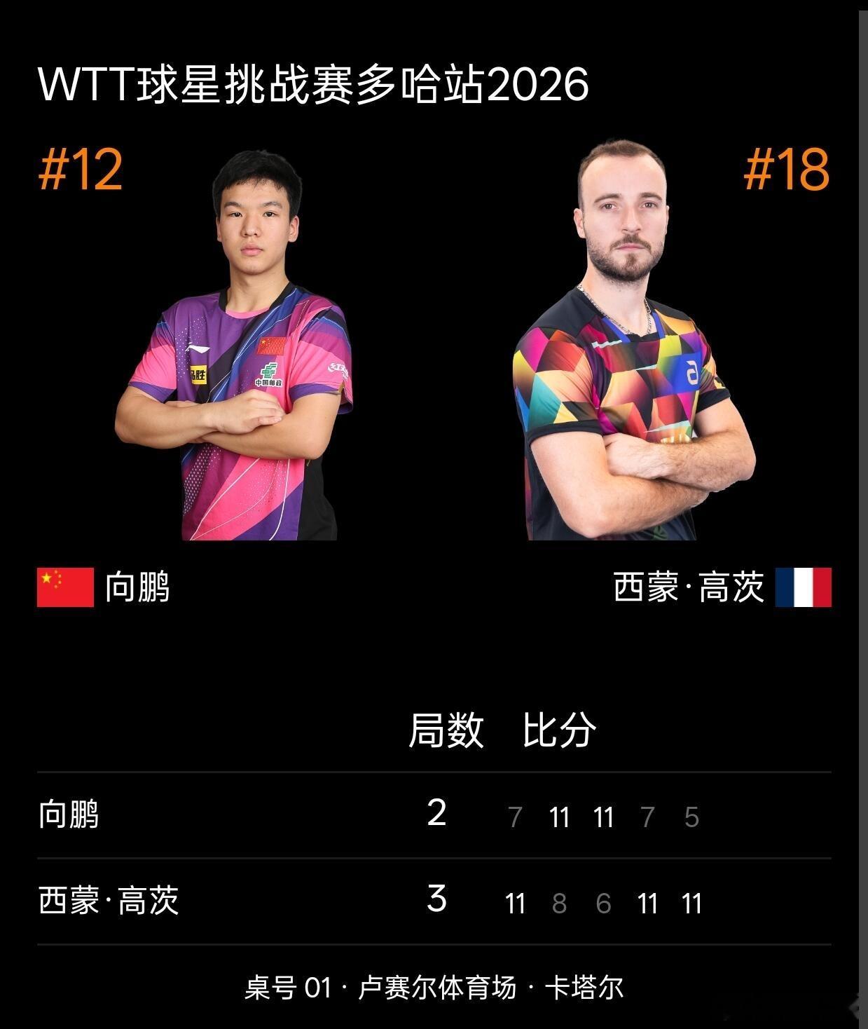 向鹏2比3高茨男单1/8决赛中，向鹏与法国选手西蒙·高茨激战五局，最终以2-3