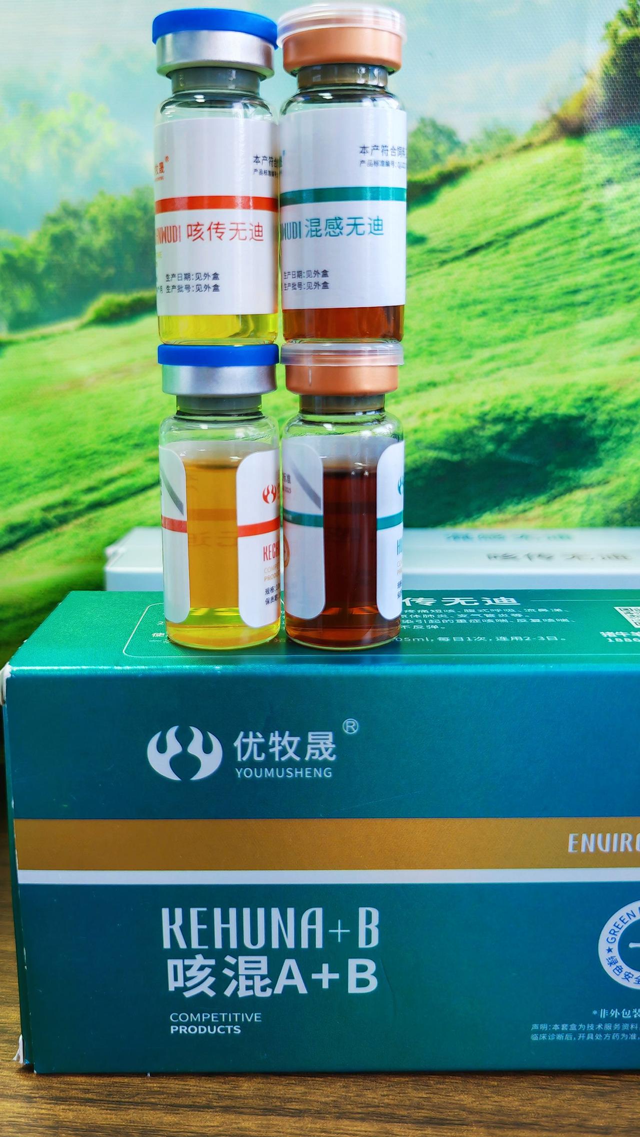 养羊人农村养羊牛羊养殖