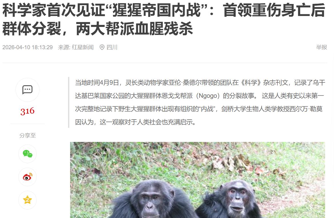 有人的地方有江湖…有猿的的地方也有江湖……………这一壮举再次证明了达尔文