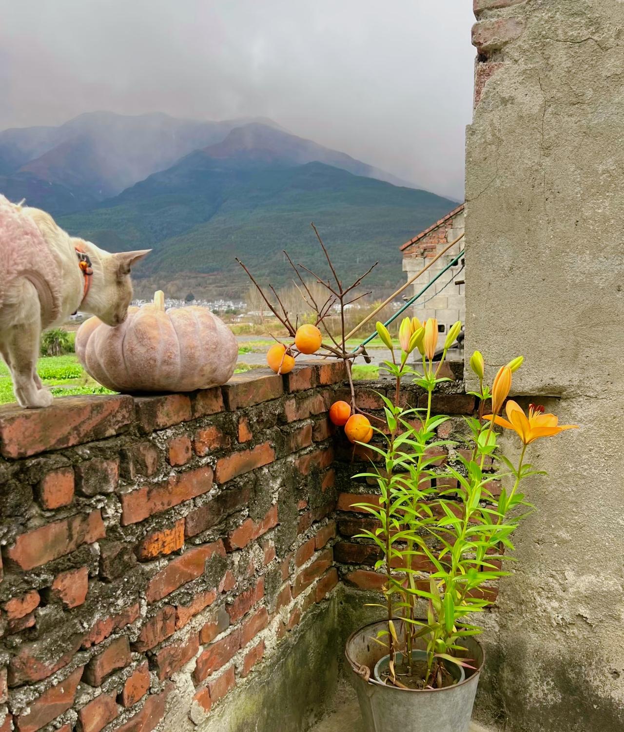 ：）一段实在的话：夫妻最大的价值不是性，会随着年龄的增长而减弱，最后没有需求