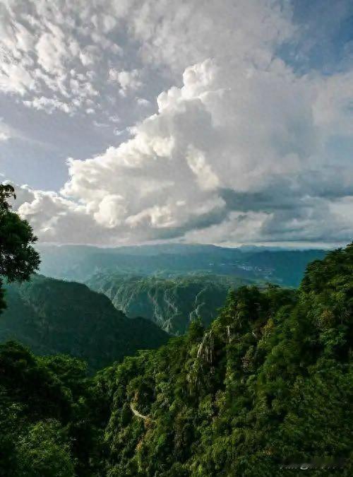 16字游击术横扫千军？井冈山上的“草台班子”靠啥逆天改命那时候的红军，说白了