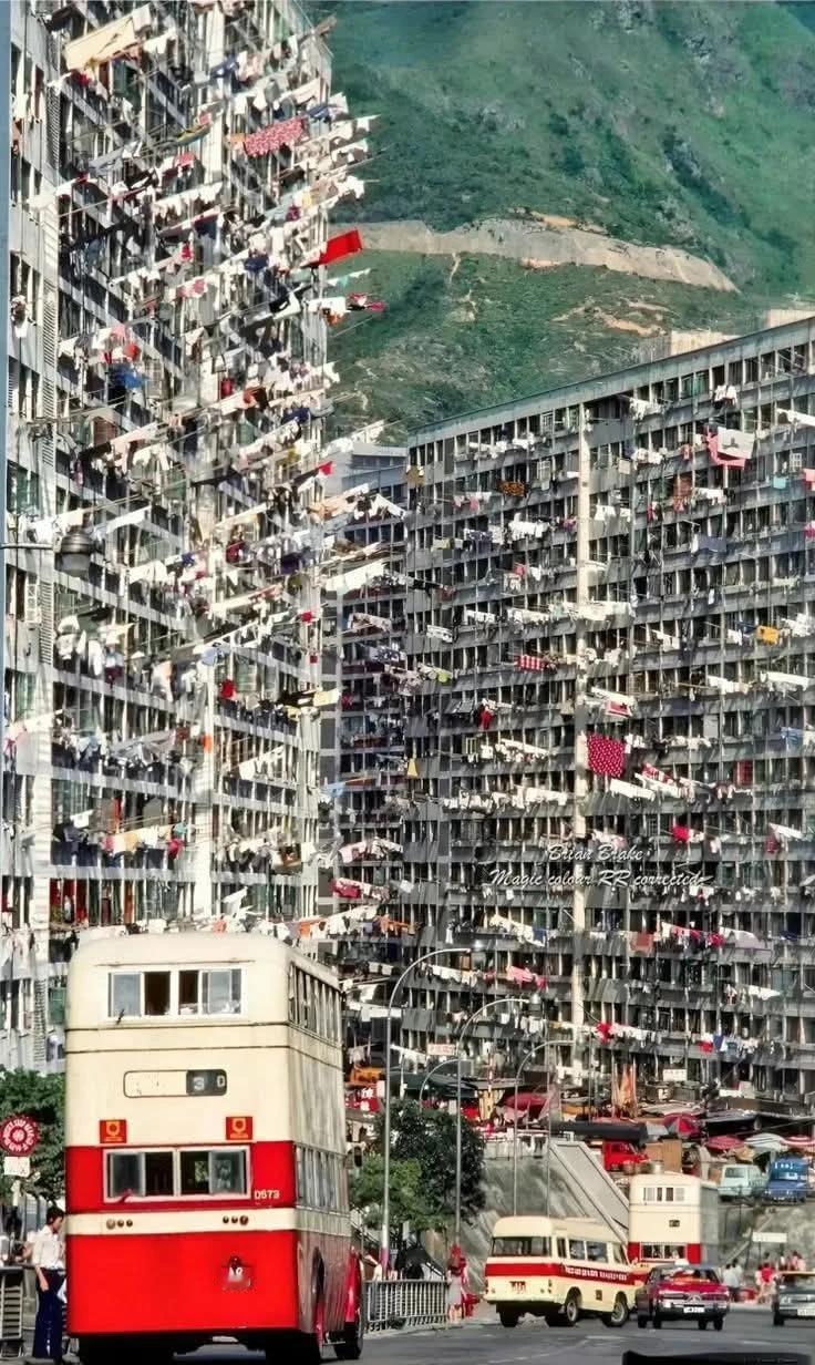 二十多年前，香港砸下几百亿要把南区钢线湾打造成“亚洲硅谷”，甚至动用免地价特权。