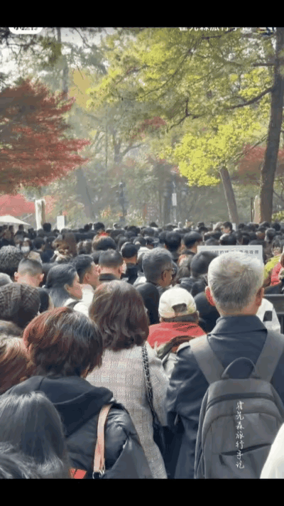 杭州灵隐寺刚免费开放。景区人挤人，原来有这么多人不用上班去玩啊。又不是只