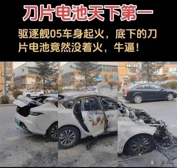 “刀片电池天下第一！”这句话我先放这了，谁赞成谁反对？！看看这张图！比亚迪