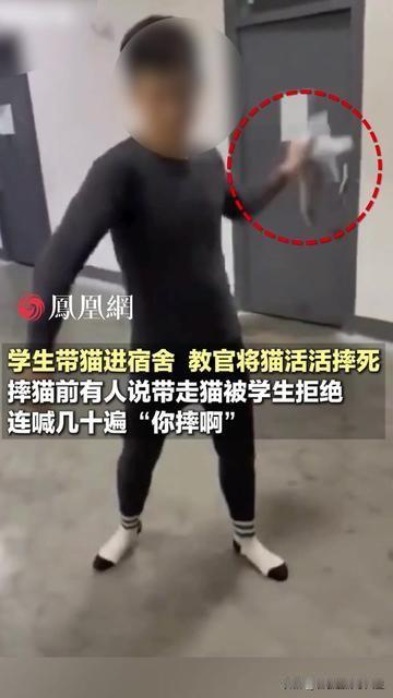 谁能想到，一句“你摔啊”，真的要了一只猫的命？湖南某学校，有人想带走猫，