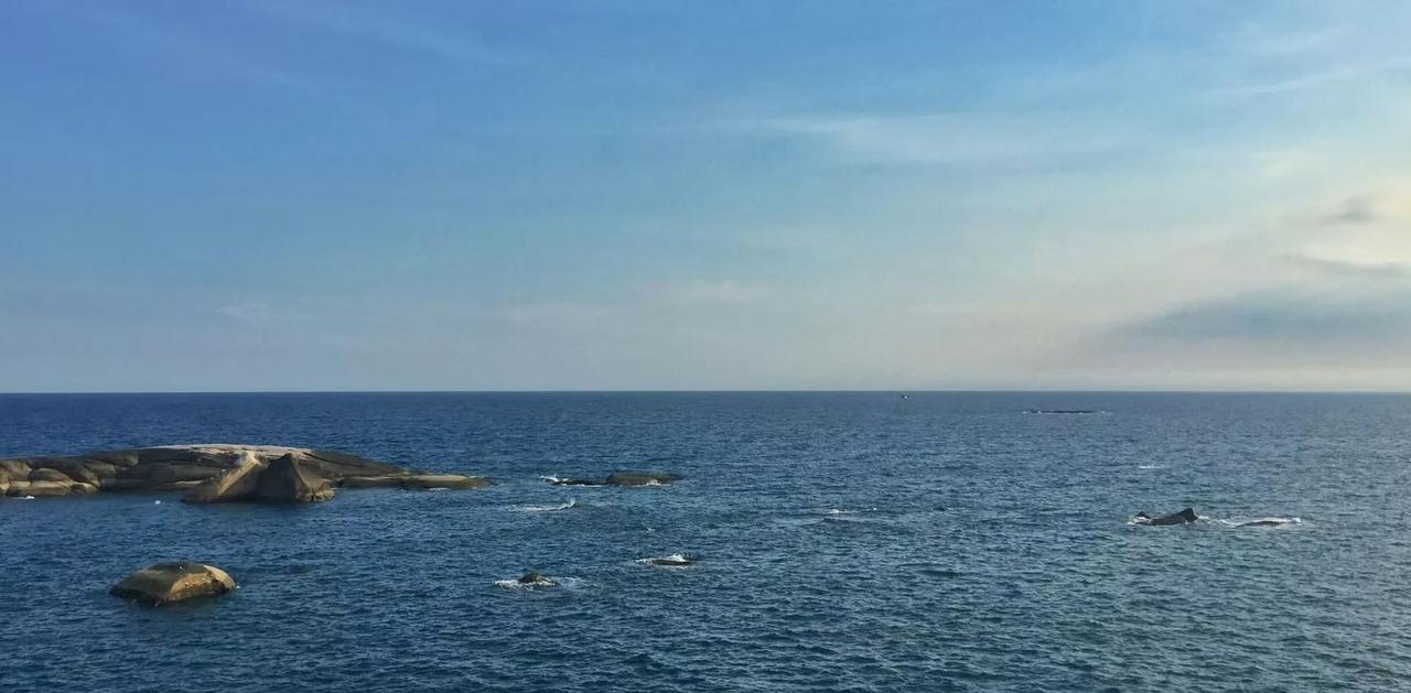 据路透社消息，菲律宾外交部长拉扎罗17日表示，菲律宾希望明年担任东盟轮值主席国期