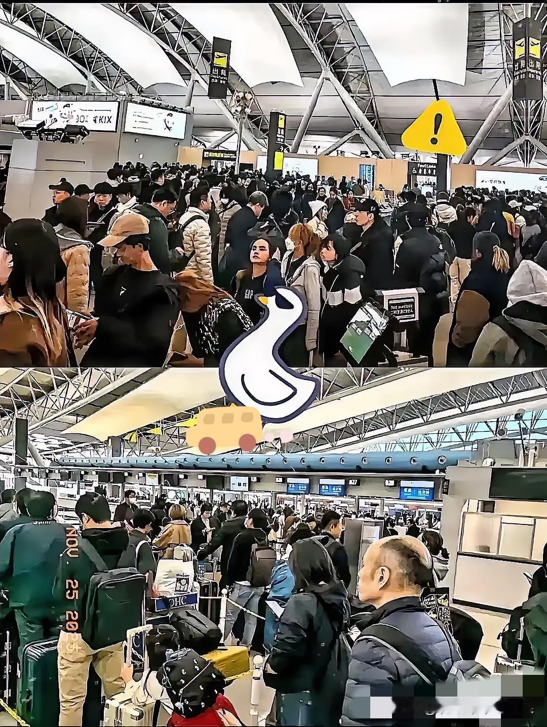 傻眼了吧，赴日旅游这就是不听劝的后果，去的潇洒，想回来可不容易了。航班取消买不到