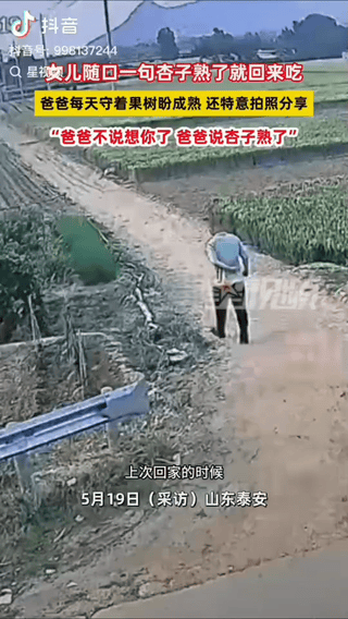 泪目。山东一女子回家与父亲聊家常时，轻轻说了一句：“等杏熟了我就回来吃”。女儿只