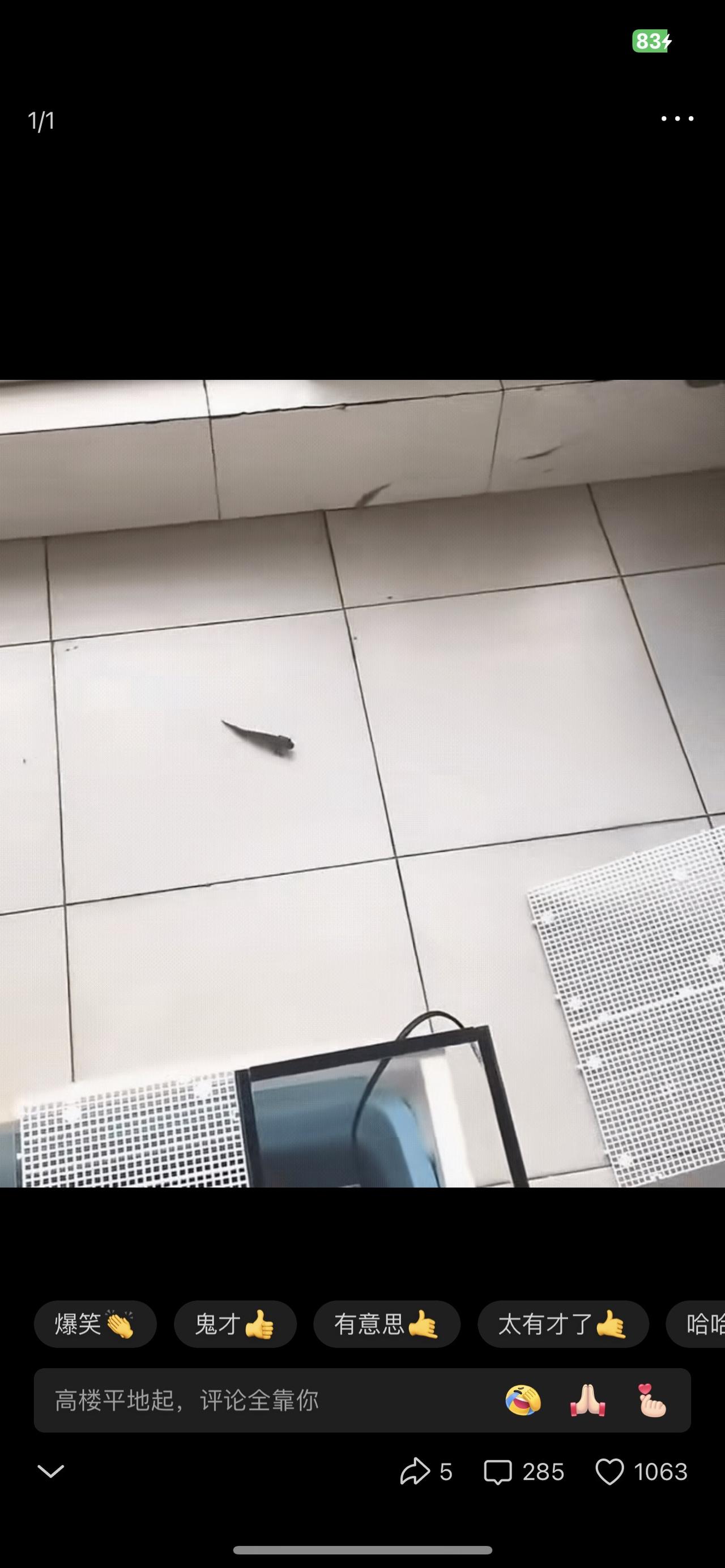 “解释不清了！”一名男子在家养了一条鱼，偶然间男子发现自家的鱼总是自己爬到地面上