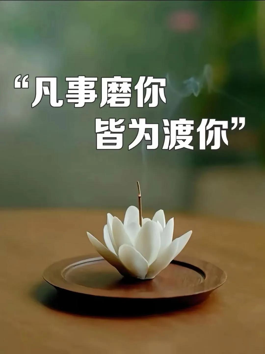 你所有的痛苦，皆因你不了解人性。不了解人性，你就仿佛是待宰的羔羊。你在生活与工