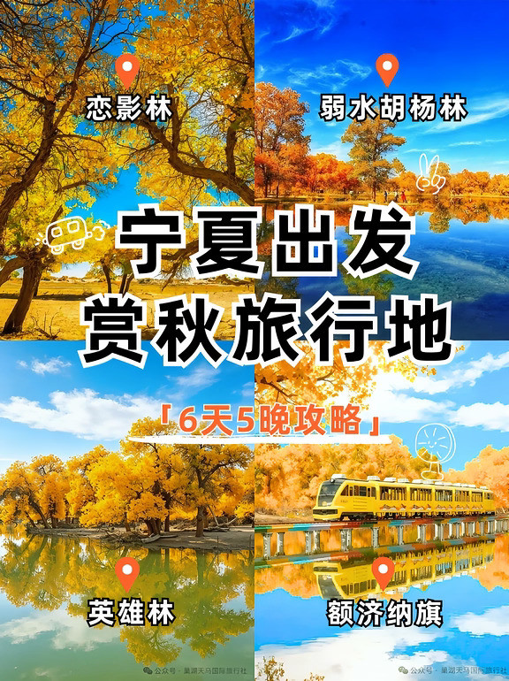 胡杨林6天5晚｜不走回头路✨一年只美21天