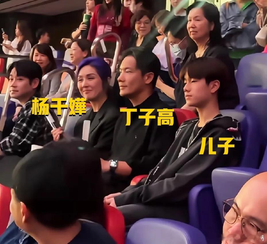 林忆莲演唱会堪称港圈老友线下团建现场！陈慧琳、钟楚红惊喜现身，杨千嬅还带着老公儿