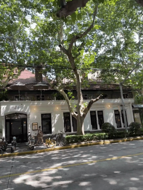 哇哦，有路人在街角的咖啡店偶遇了赵丽颖，一种阳光正好，微风徐徐，抬头刚好遇到你的