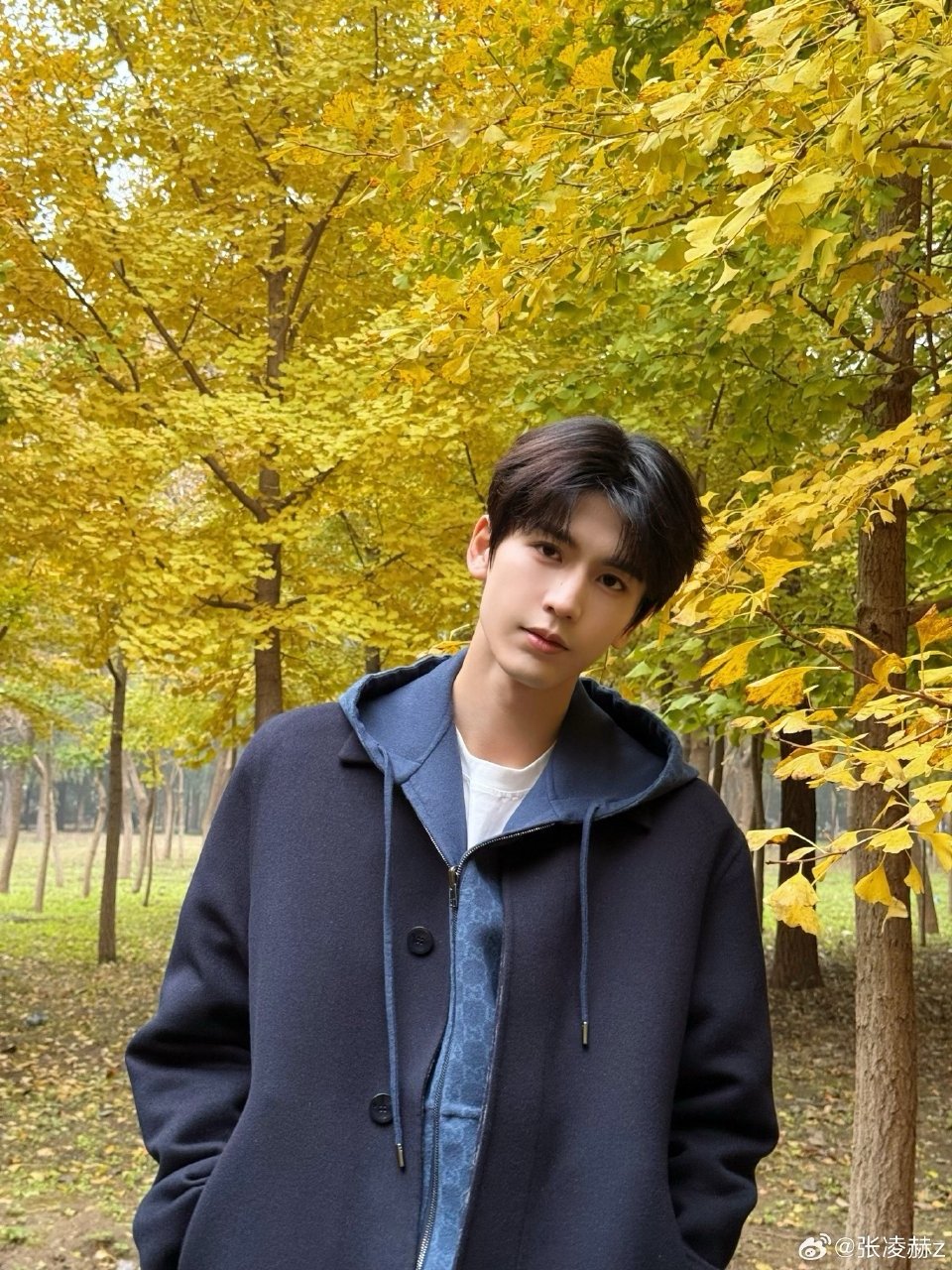 张凌赫长相优越演技也优越张凌赫的破圈不是偶然，颜值是敲门砖，但真正让人留下的是