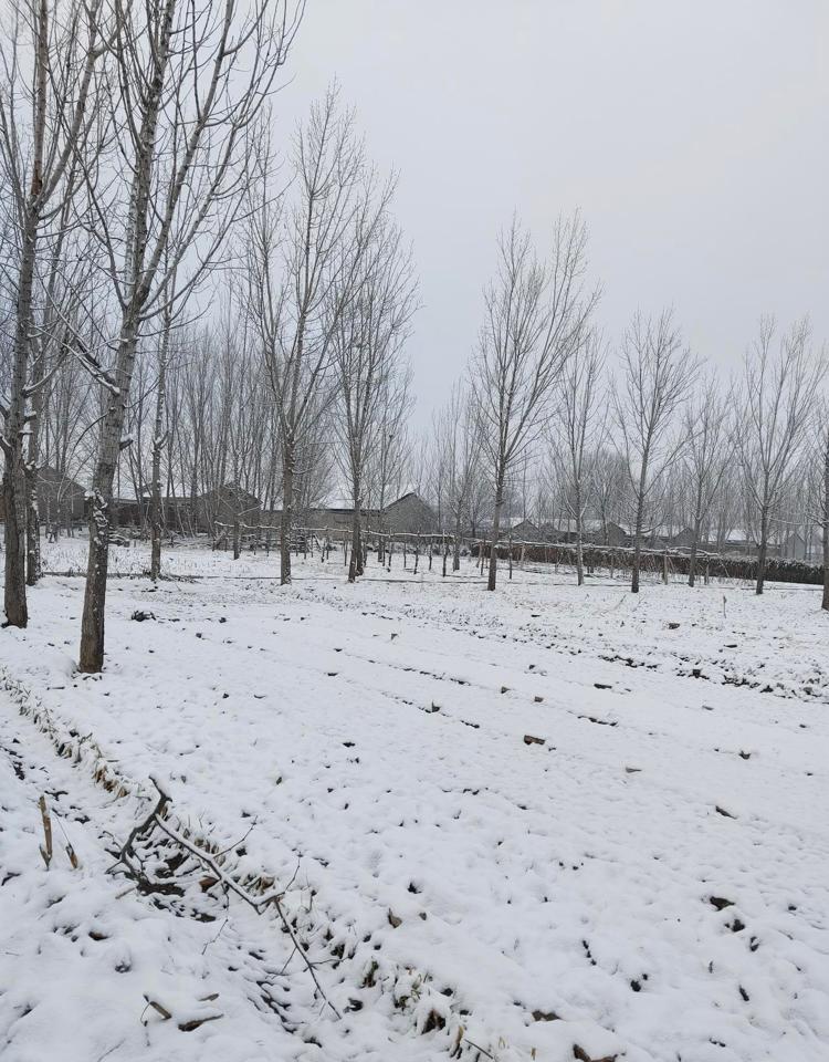 养老钱不够？村里每月倒贴200，政府再加码400！你交养老保险，村里每月白补