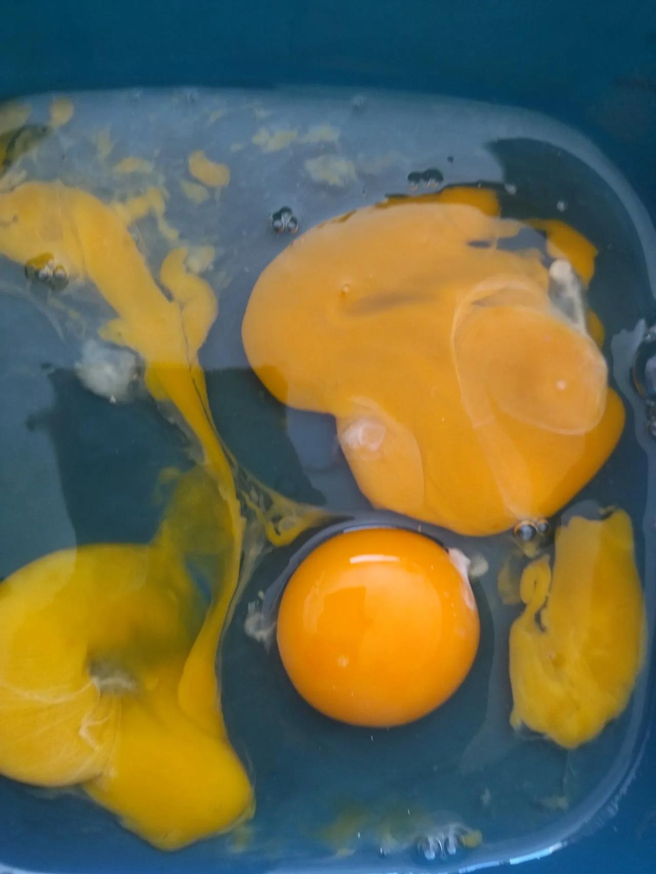 还有像我一样傻的人吗？把鸡蛋打到垃圾袋，鸡蛋皮扔盆子里的？