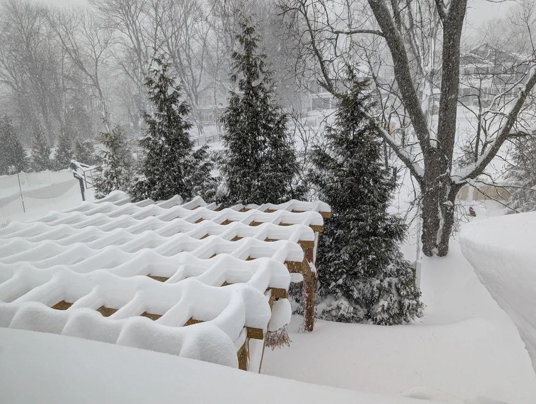 雪似乎可以把地表上的一切物体变得温柔。