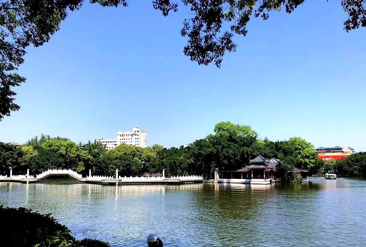 表弟在广东的工厂搬砖大概有23年了，银行存款接近80个W，但是至今为止还是光棍一