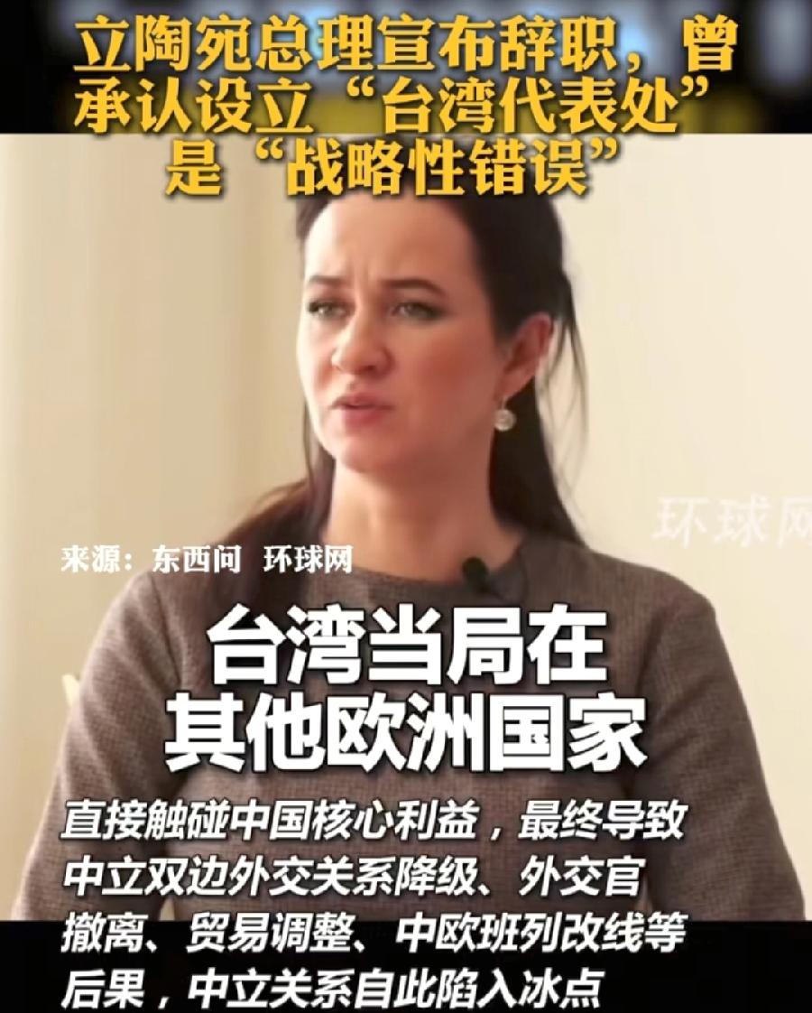 立陶宛外长没辞职，对华友好的女总理先辞职了，才干了一年左右，之前直言承认设立“台