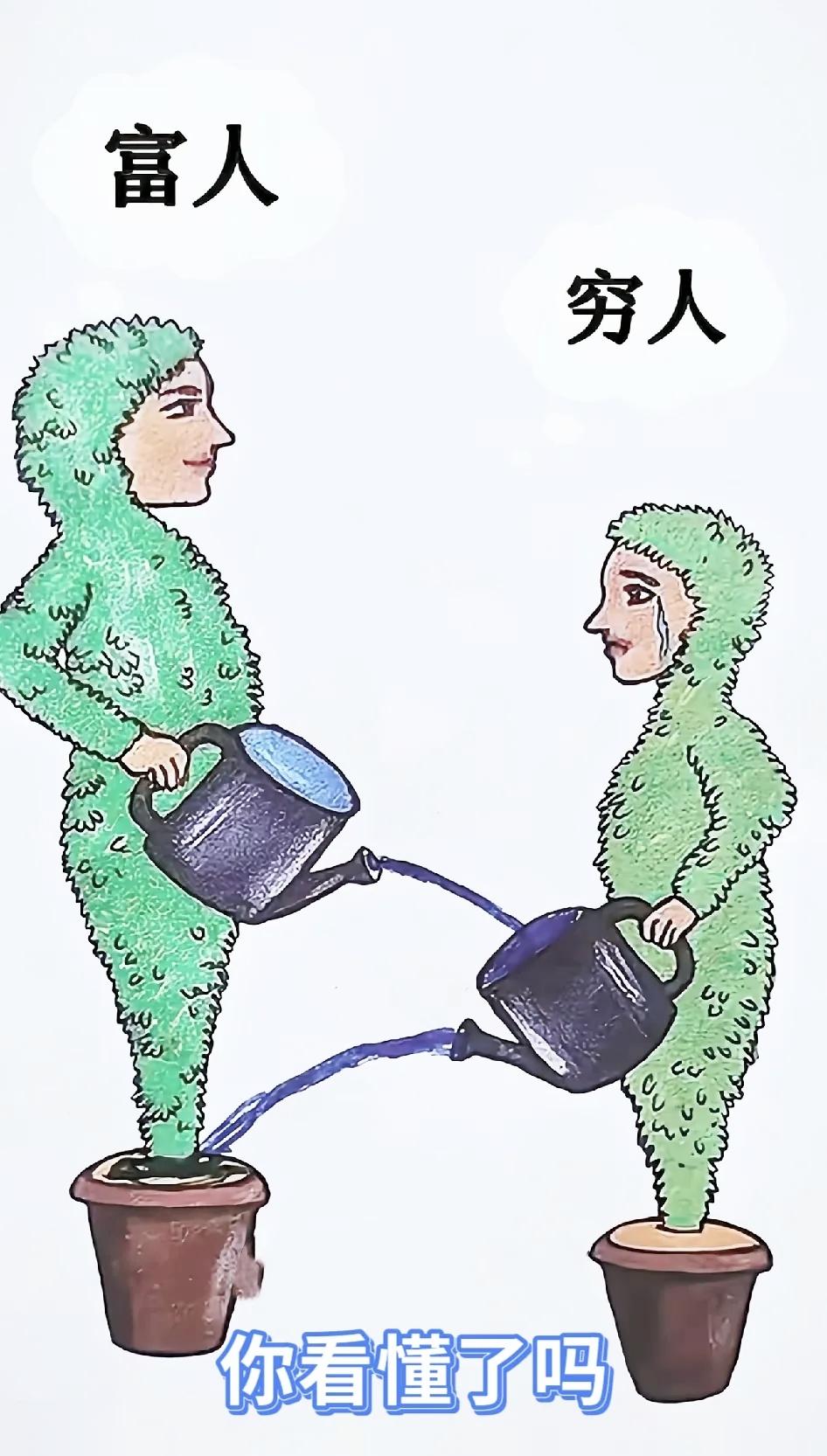 表面互相浇灌彼此成全，一盆之差，道尽难以跨越的现实差距人性感悟现实漫画阶