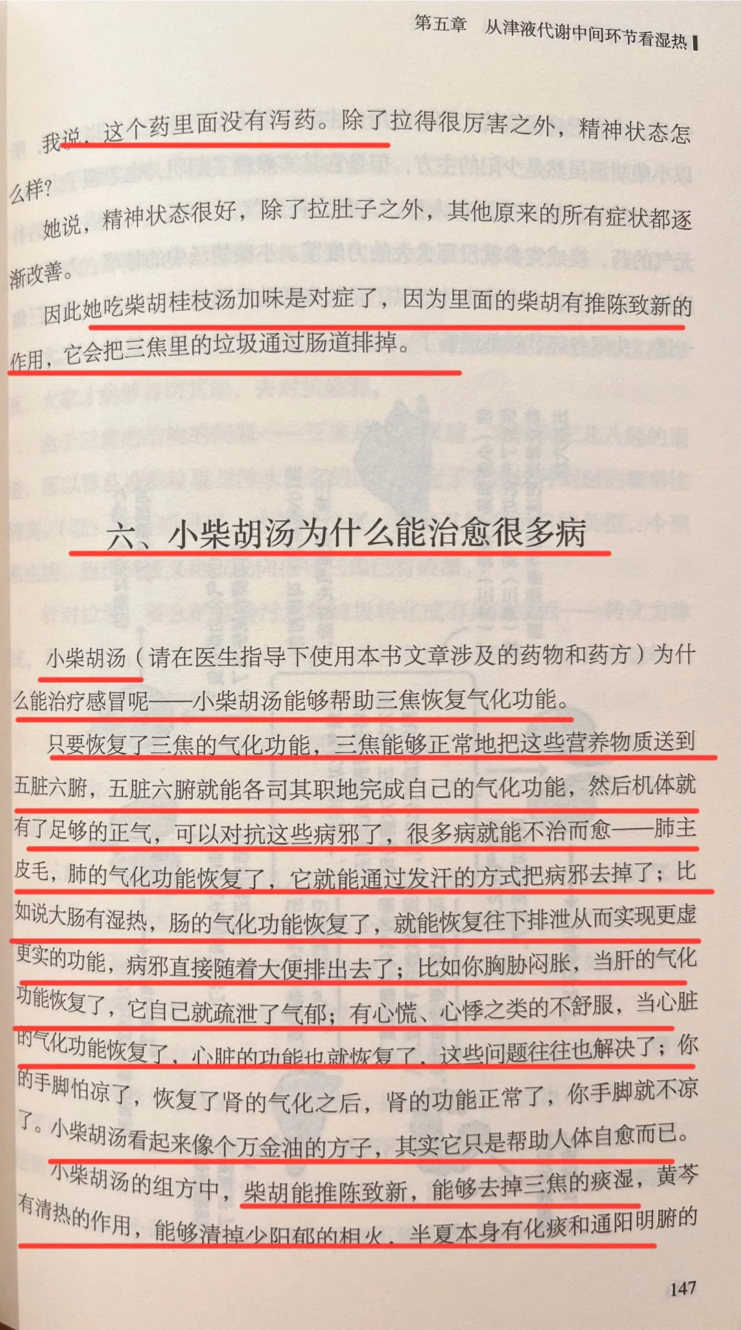 今天讲：小柴胡汤为什么能治愈很多病
