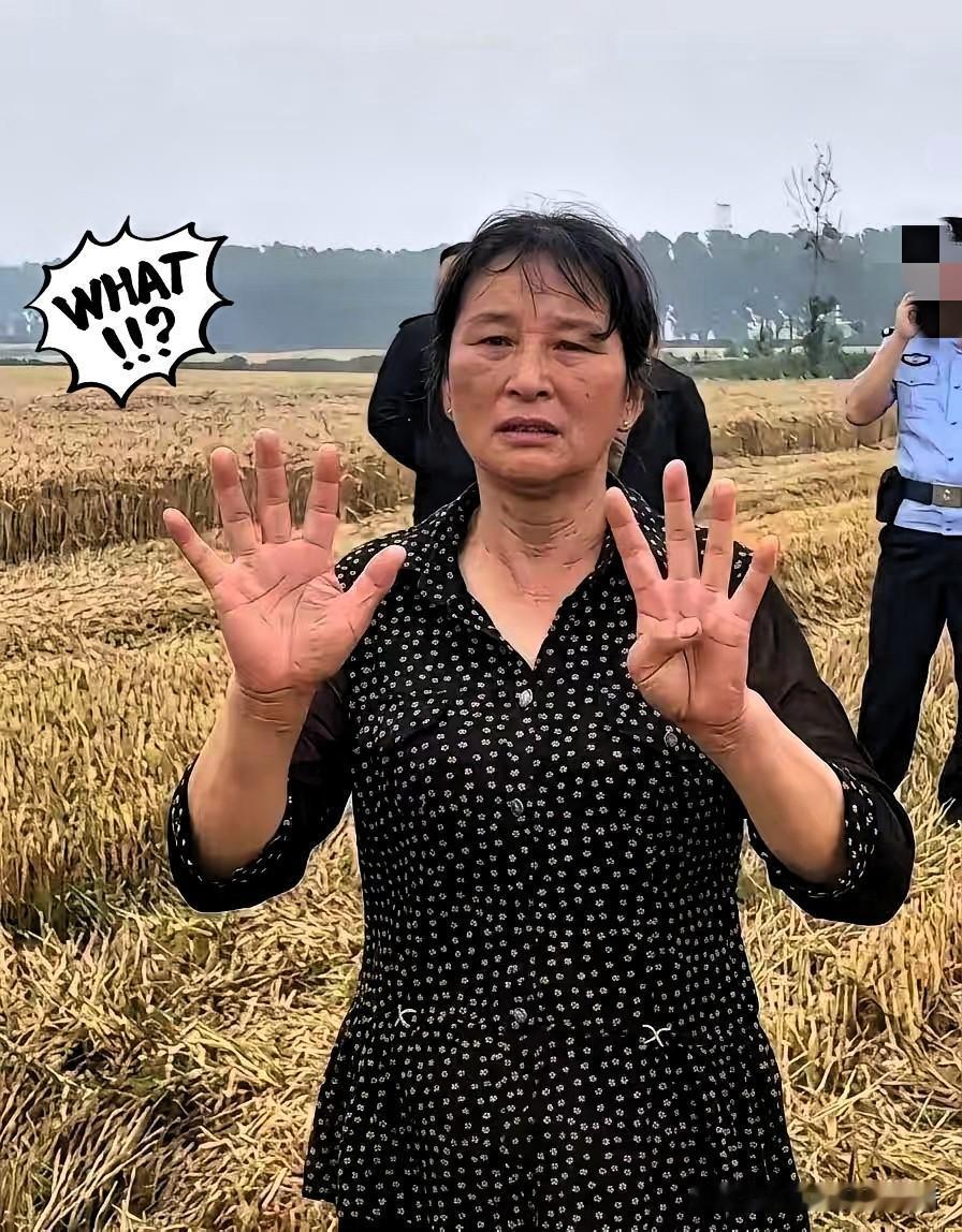 襄阳那位“割四赔五”的大妈，终于低头了。前阵子这事闹得沸沸扬扬，人家两口子大