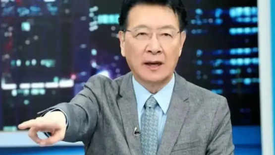 赵少康在关键时候挺身而出，说明他还是有点骨气的。什么“团结十讲”完全是胡说八道。