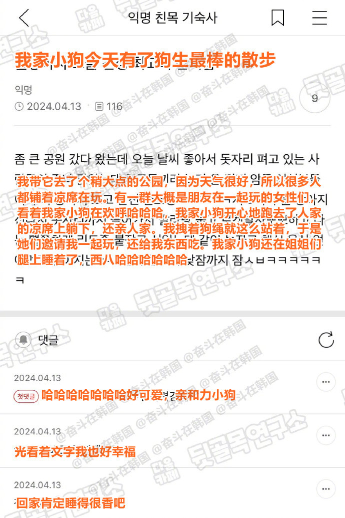 我家小狗今天有了狗生最棒的散步~又幸福了小狗~海外新鲜事热点现场​​​